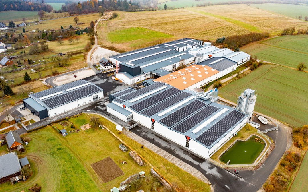 Grün in die Zukunft